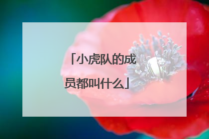 小虎队的成员都叫什么