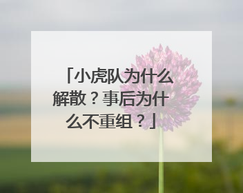 小虎队为什么解散?事后为什么不重组?
