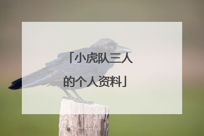 小虎队三人的个人资料