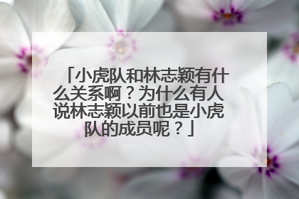 小虎队和林志颖有什么关系啊?为什么有人说林志颖以前也是小虎队的成员呢?