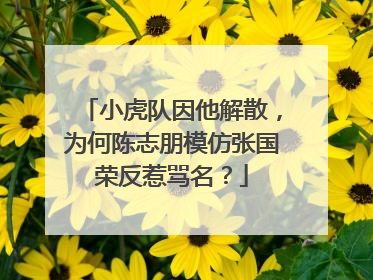 小虎队因他解散,为何陈志朋模仿张国荣反惹骂名?