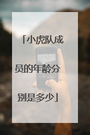 小虎队成员的年龄分别是多少