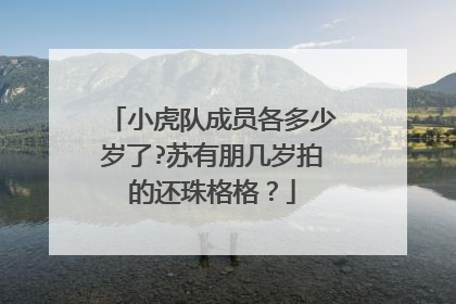 小虎队成员各多少岁了?苏有朋几岁拍的还珠格格？