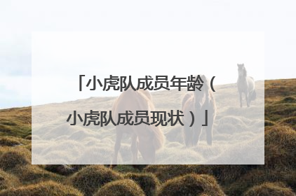 小虎队成员年龄（小虎队成员现状）