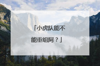 小虎队能不能重组阿?