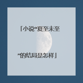 小说“夏至未至”的结局是怎样