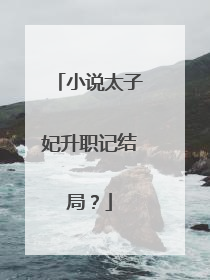 小说太子妃升职记结局?