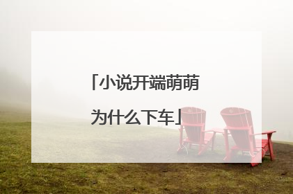 小说开端萌萌为什么下车