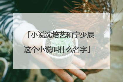 小说沈培艺和宁少辰这个小说叫什么名字