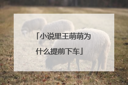 小说里王萌萌为什么提前下车
