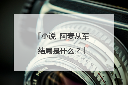 小说 阿麦从军 结局是什么？