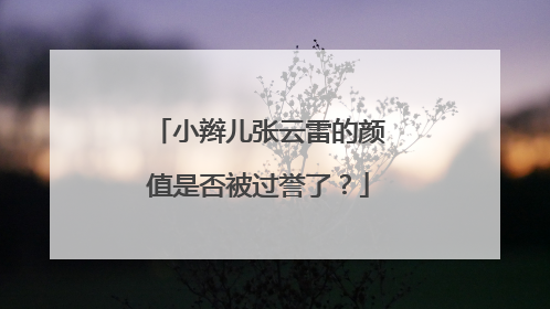 小辫儿张云雷的颜值是否被过誉了？