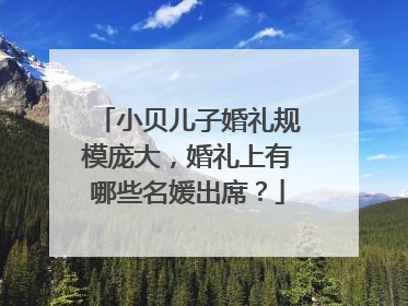 小贝儿子婚礼规模庞大，婚礼上有哪些名媛出席？