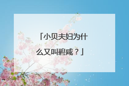 小贝夫妇为什么又叫碧咸？