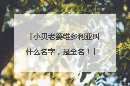 小贝老婆维多利亚叫什么名字,是全名!