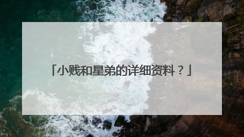 小贱和星弟的详细资料?