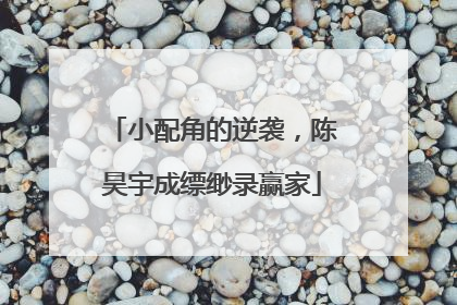 小配角的逆袭，陈昊宇成缥缈录赢家