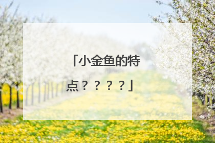 小金鱼的特点????