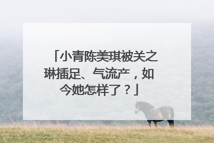 小青陈美琪被关之琳插足、气流产，如今她怎样了？
