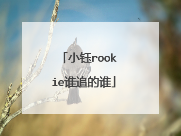 小钰rookie谁追的谁