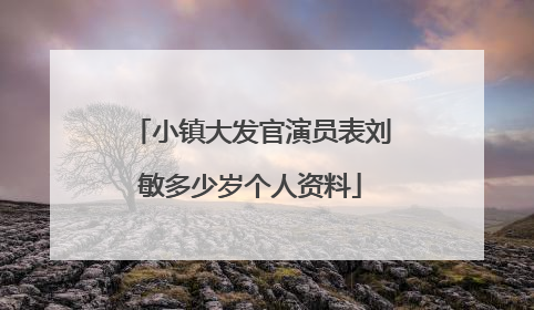 小镇大发官演员表刘敏多少岁个人资料