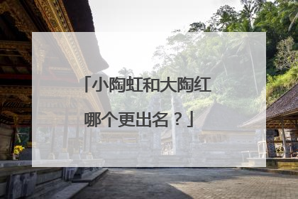 小陶虹和大陶红哪个更出名?