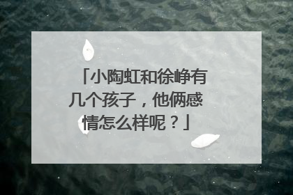 小陶虹和徐峥有几个孩子，他俩感情怎么样呢？