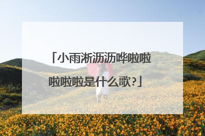 小雨淅沥沥哗啦啦啦啦啦是什么歌?
