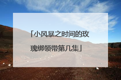 小风暴之时间的玫瑰绑领带第几集