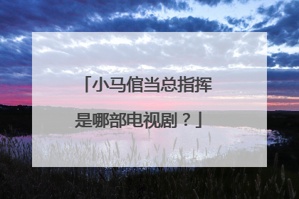 小马倌当总指挥是哪部电视剧?