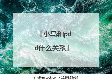 小马和pdd什么关系