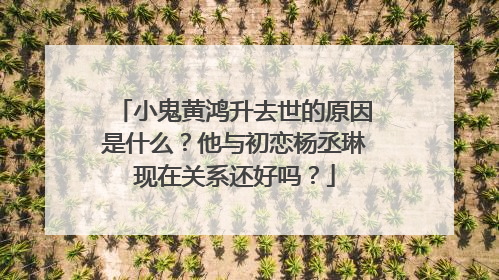 小鬼黄鸿升去世的原因是什么？他与初恋杨丞琳现在关系还好吗？