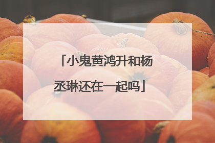 小鬼黄鸿升和杨丞琳还在一起吗