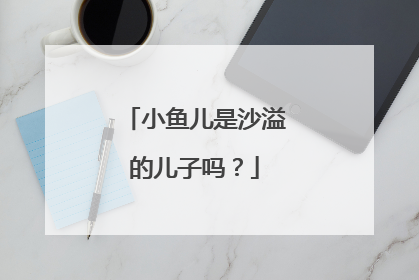 小鱼儿是沙溢的儿子吗？