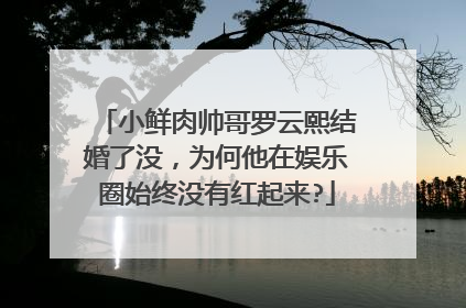 小鲜肉帅哥罗云熙结婚了没,为何他在娱乐圈始终没有红起来?