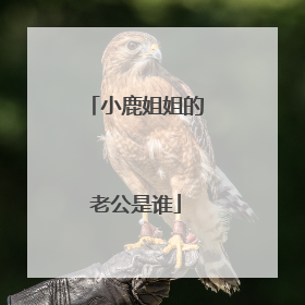 小鹿姐姐的老公是谁