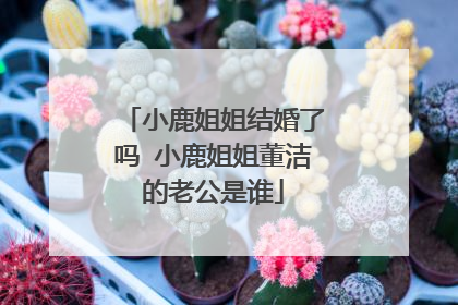 小鹿姐姐结婚了吗 小鹿姐姐董洁的老公是谁