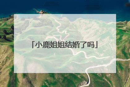 小鹿姐姐结婚了吗