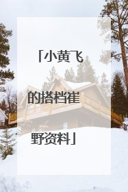 小黄飞的搭档崔野资料