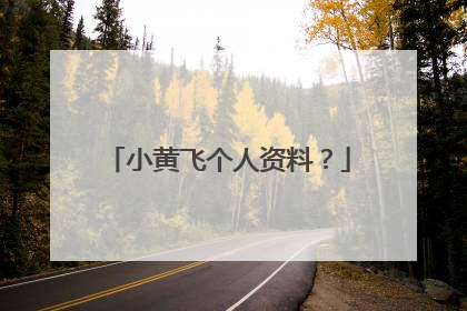 小黄飞个人资料?