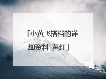 小黄飞搭档的详细资料 黄红