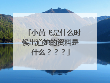 小黄飞是什么时候出道她的资料是什么？？？