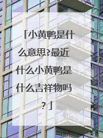 小黄鸭是什么意思?最近什么小黄鸭是什么吉祥物吗？