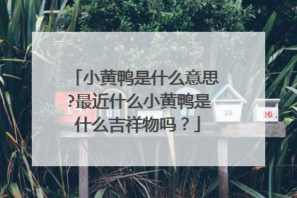 小黄鸭是什么意思?最近什么小黄鸭是什么吉祥物吗？