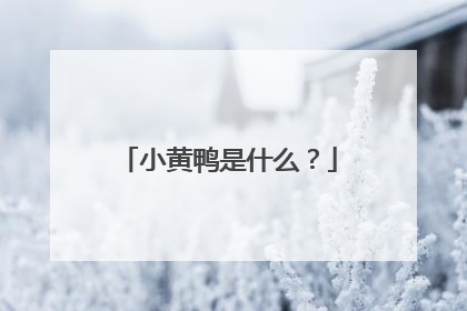 小黄鸭是什么?