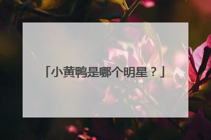 小黄鸭是哪个明星？
