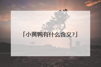 小黄鸭有什么含义?