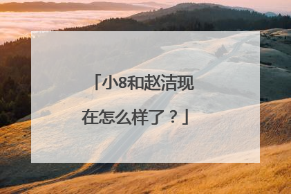 小8和赵洁现在怎么样了？