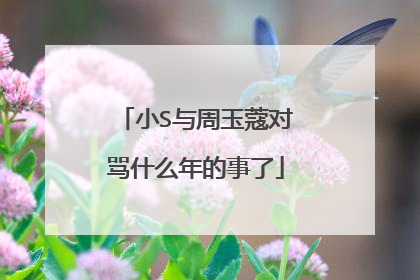 小S与周玉蔻对骂什么年的事了