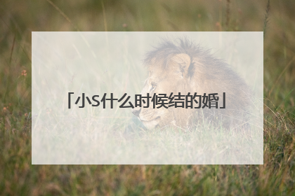 小S什么时候结的婚